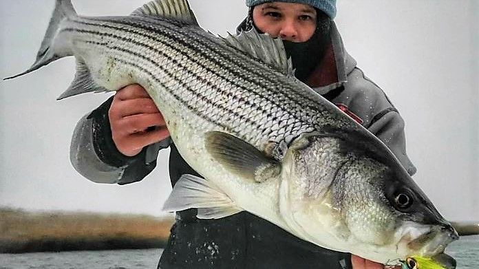 Striking Striped Bass in Connecticut |  4 Hours of Fishing